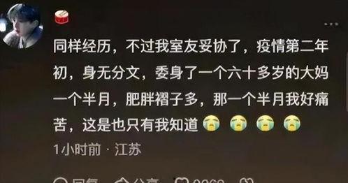 娱乐圈吃瓜短剧推荐文案,短剧版吃瓜盛宴，带你领略明星幕后故事