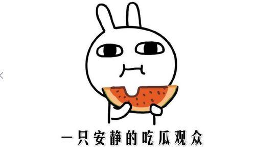 吃瓜看戏含义什么意思,揭秘娱乐圈幕后风云
