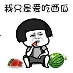 娱乐吃瓜君